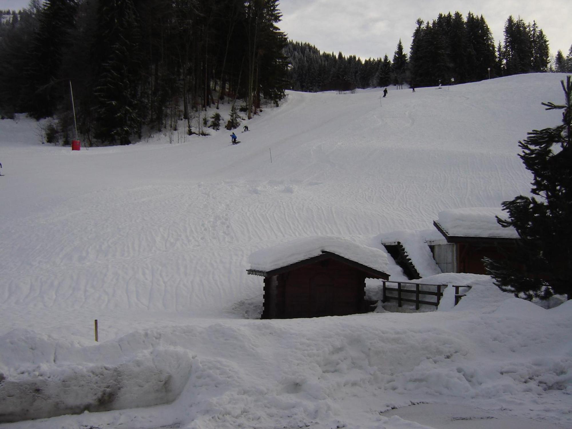 Hotel Les Bernards Praz-sur-Arly Exterior photo