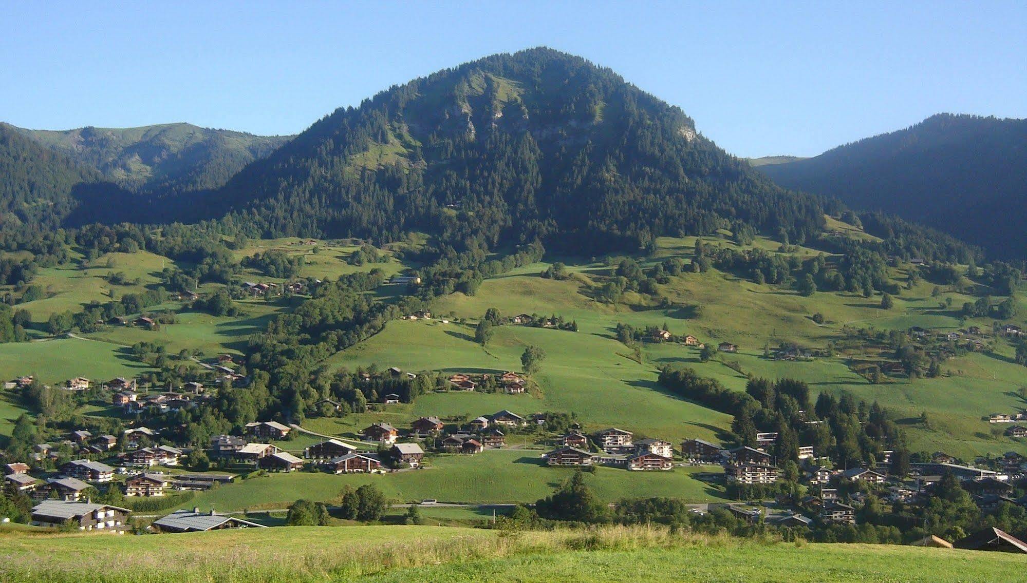 Hotel Les Bernards Praz-sur-Arly Exterior photo
